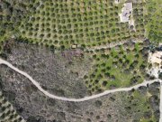 Milatos Kreta, Milatos: Baugrundstück im Zentrum in Meeresnähe zu verkaufen Grundstück kaufen